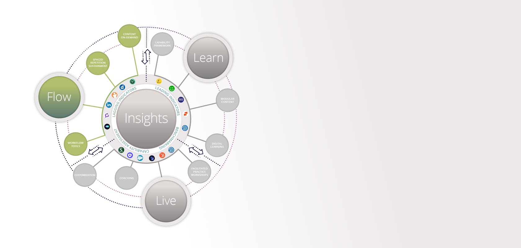 hero banner showing the system elements of the flow component of the accelerate sales performance system