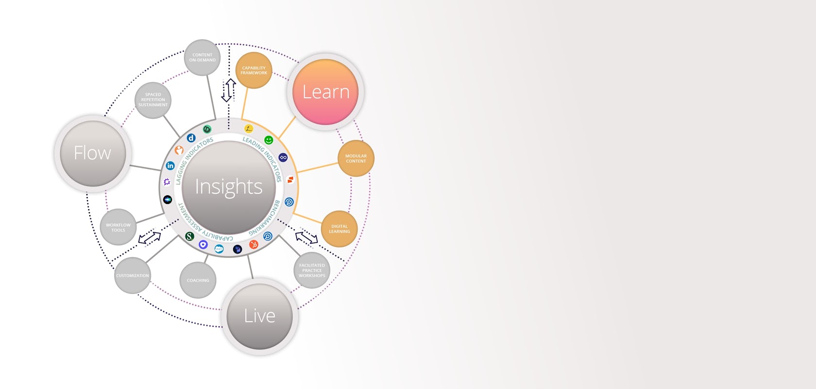 hero banner showing the elements of the accelerate learn system component