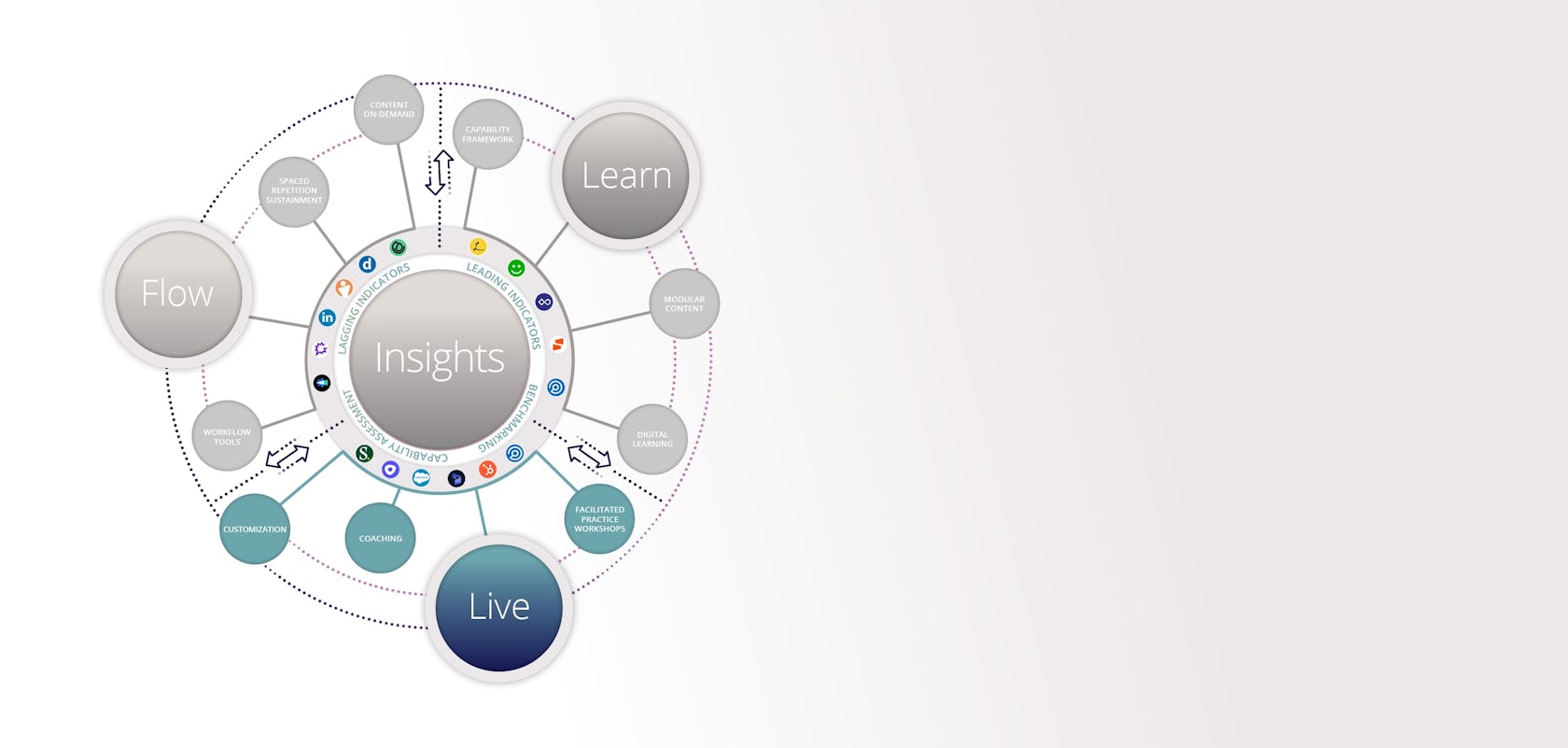 hero banner emphasizing the elements of the live accelerate sales performance system component