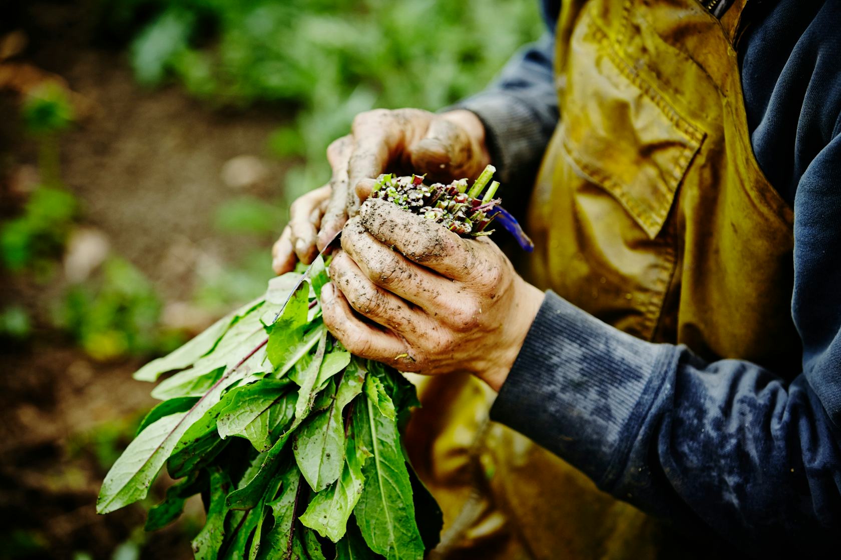 cargill sales training success story